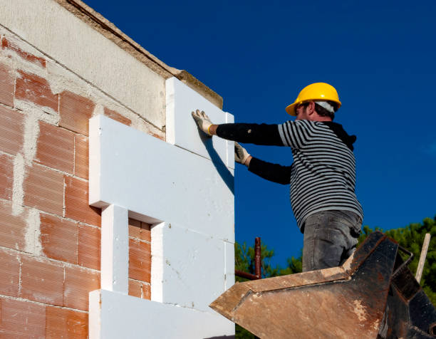 Best Insulation Maintenance and Repair in Spring Valley Lake, CA